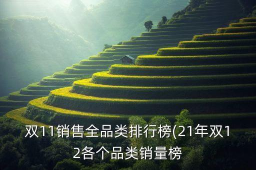 雙11銷售全品類排行榜(21年雙12各個品類銷量榜