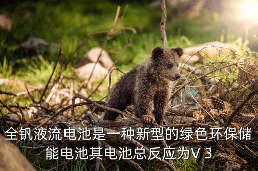 全釩液流電池是一種新型的綠色環(huán)保儲能電池其電池總反應為V 3