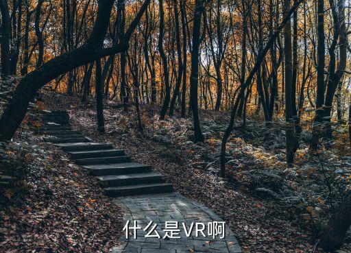 什么是VR啊