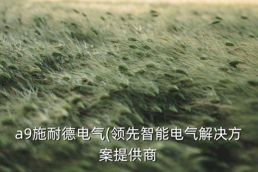 a9施耐德電氣(領(lǐng)先智能電氣解決方案提供商