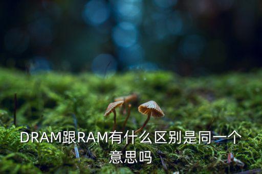 dram是什么意思,隨機存取存儲器和ram有什么不同?