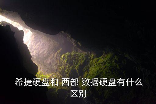  希捷硬盤和 西部 數(shù)據(jù)硬盤有什么區(qū)別