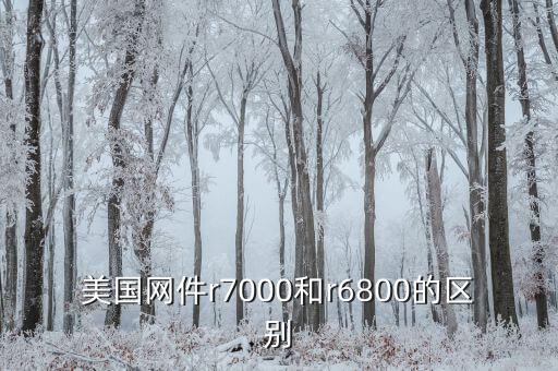 美國網(wǎng)件r7000和r6800的區(qū)別