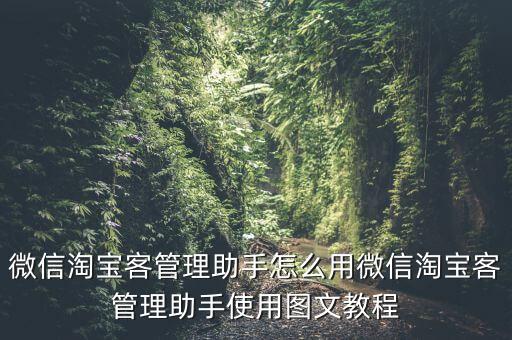 微信淘寶客管理助手怎么用微信淘寶客管理助手使用圖文教程