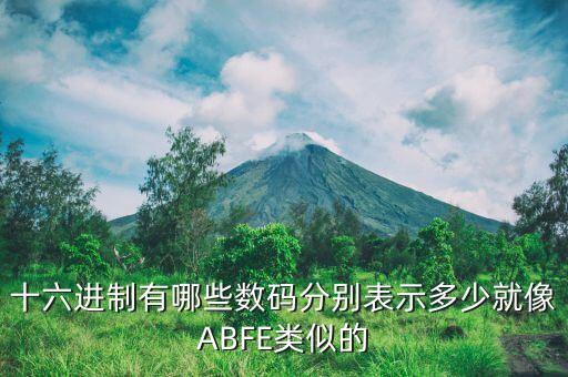 十六進制有哪些數(shù)碼分別表示多少就像ABFE類似的