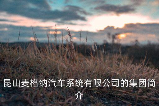 昆山麥格納汽車(chē)系統(tǒng)有限公司的集團(tuán)簡(jiǎn)介
