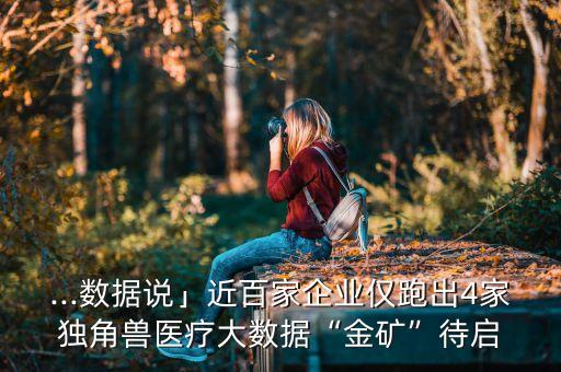 ...數(shù)據(jù)說(shuō)」近百家企業(yè)僅跑出4家獨(dú)角獸醫(yī)療大數(shù)據(jù)“金礦”待啟