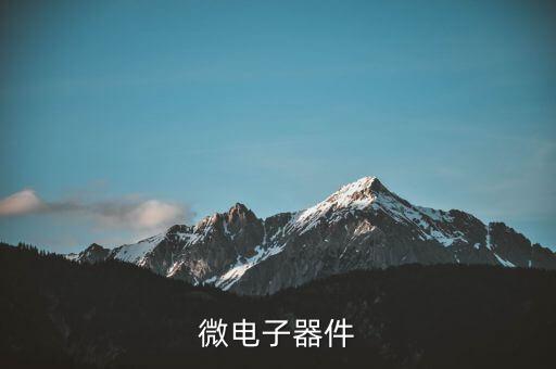 微電子器件