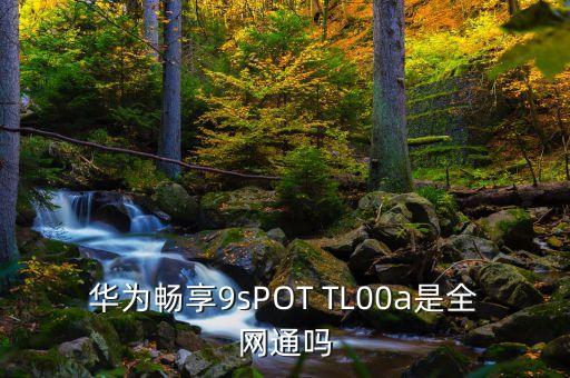 華為暢享9sPOT TL00a是全網(wǎng)通嗎