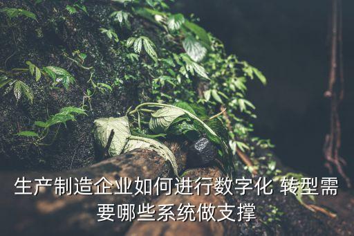 生產(chǎn)制造企業(yè)如何進行數(shù)字化 轉(zhuǎn)型需要哪些系統(tǒng)做支撐