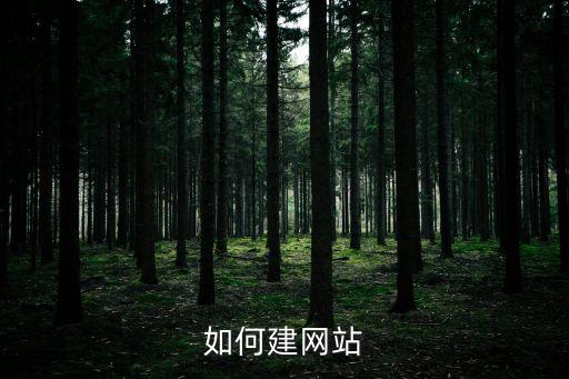 如何建網(wǎng)站