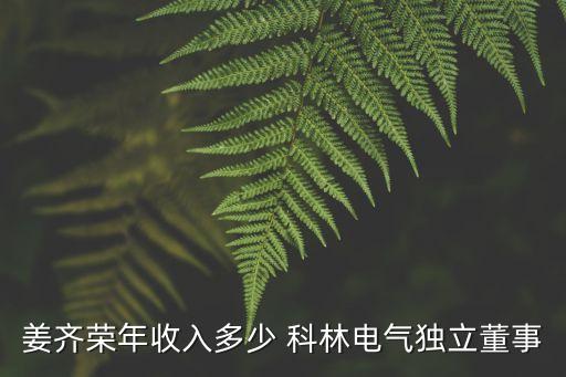 姜齊榮年收入多少 科林電氣獨(dú)立董事