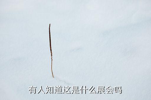 有人知道這是什么展會(huì)嗎