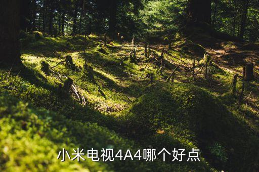 小米電視4，HDR電視的4A與4K是什么含義小米4A電視是什么意思