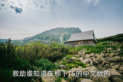 救助誰知道在那下TS的中文版的