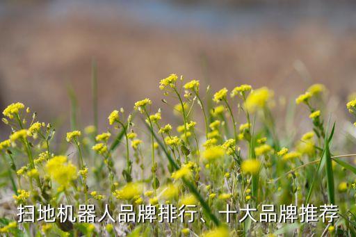 臺灣 機器人 書,關(guān)于服務機器人你知道多少?