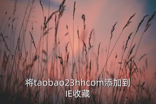 將taobao23hhcom添加到IE收藏