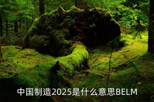 2025中國制造，中國制造2025是什么意思BELM