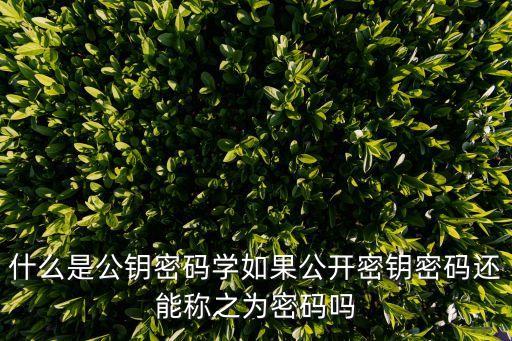 什么是公鑰密碼學(xué)如果公開密鑰密碼還能稱之為密碼嗎