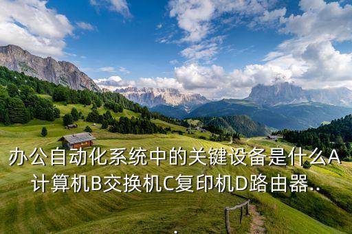 辦公自動(dòng)化系統(tǒng)中的關(guān)鍵設(shè)備是什么A計(jì)算機(jī)B交換機(jī)C復(fù)印機(jī)D路由器...
