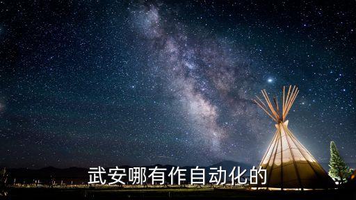 武安哪有作自動(dòng)化的