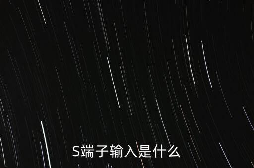 S端子輸入是什么