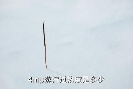 4mp蒸汽過(guò)熱度是多少