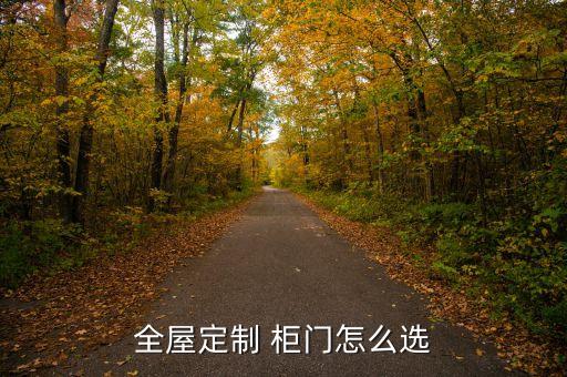 全屋定制 柜門怎么選