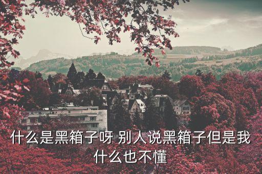 什么是黑箱子呀 別人說黑箱子但是我什么也不懂