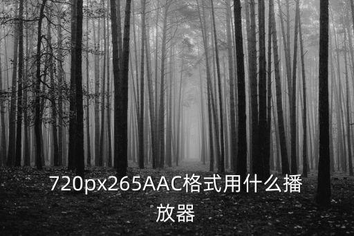 720px265AAC格式用什么播放器