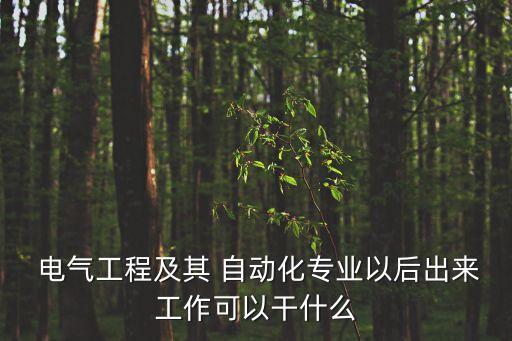  電氣工程及其 自動化專業(yè)以后出來工作可以干什么