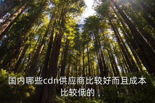 國內(nèi)哪些cdn供應(yīng)商比較好而且成本比較低的