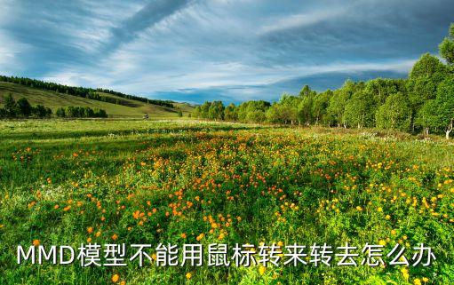 MMD模型不能用鼠標轉來轉去怎么辦