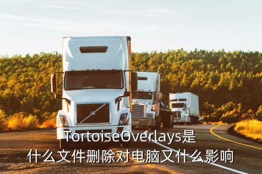 TortoiseOverlays是什么文件刪除對(duì)電腦又什么影響