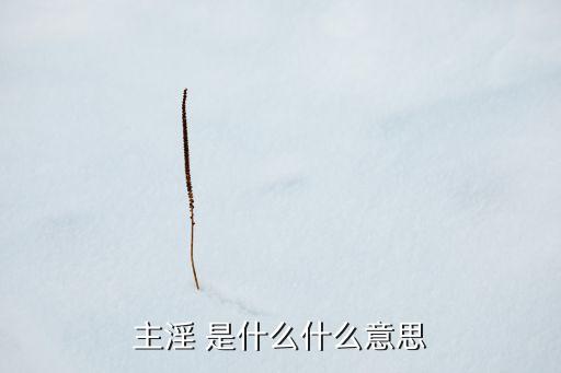 主kv是什么意思，KV是什么意思
