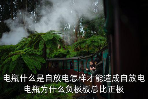 電瓶什么是自放電怎樣才能造成自放電電瓶為什么負極板總比正極