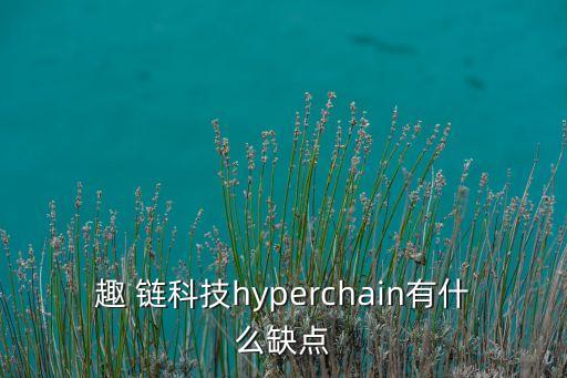 趣 鏈科技hyperchain有什么缺點