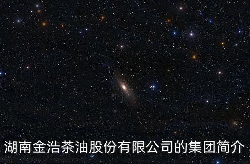 湖南金浩茶油股份有限公司的集團(tuán)簡介