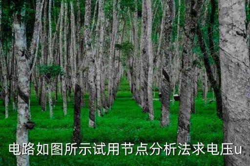 電路如圖所示試用節(jié)點分析法求電壓u
