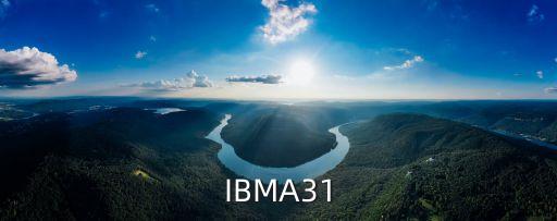 IBMA31