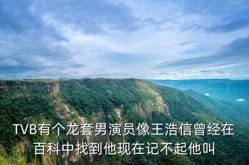 TVB有個(gè)龍?zhí)啄醒輪T像王浩信曾經(jīng)在百科中找到他現(xiàn)在記不起他叫
