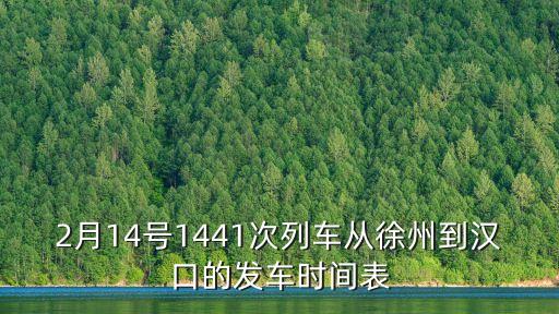 2月14號(hào)1441次列車從徐州到漢口的發(fā)車時(shí)間表