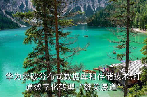 華為突破分布式數(shù)據(jù)庫和存儲(chǔ)技術(shù),打通數(shù)字化轉(zhuǎn)型“雄關(guān)漫道”