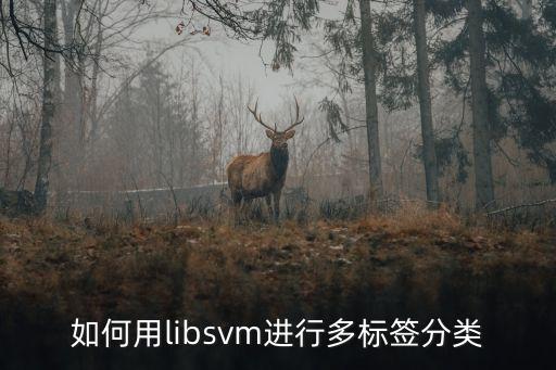如何用libsvm進(jìn)行多標(biāo)簽分類