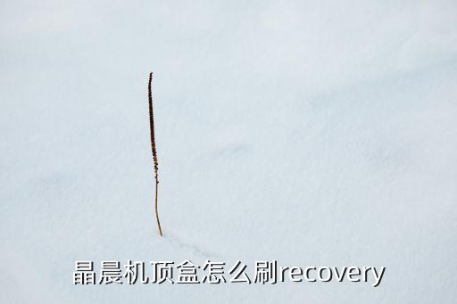 晶晨機(jī)頂盒怎么刷recovery