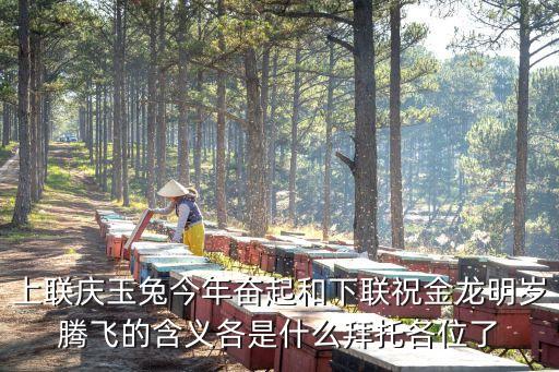 祝金龍，上聯(lián)慶玉兔今年奮起和下聯(lián)祝金龍明歲騰飛的含義各是什么拜托各位了