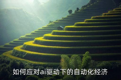 如何應(yīng)對ai驅(qū)動下的自動化經(jīng)濟