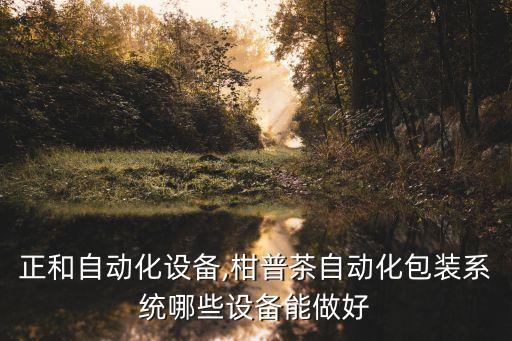 河南正和自動(dòng)化設(shè)備,柑普茶自動(dòng)化包裝系統(tǒng)哪些設(shè)備能做好?
