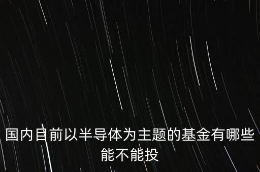 國內(nèi)目前以半導(dǎo)體為主題的基金有哪些能不能投