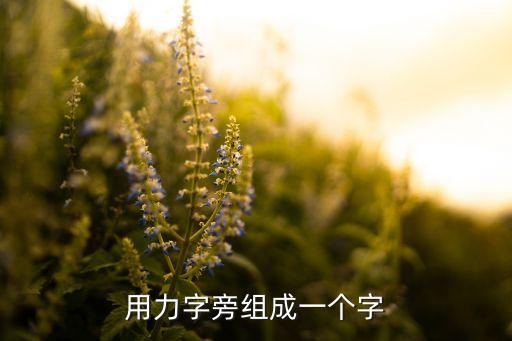 用力字旁組成一個(gè)字